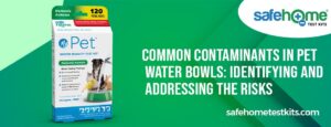 Common Contaminants in Pet Water Bowls