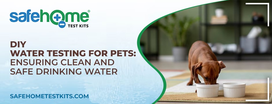 Water Testing for Pets