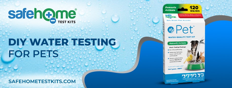 DIY water testing for pets