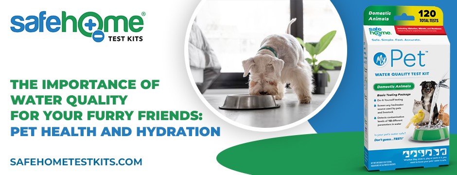 Pet Health and Hydration