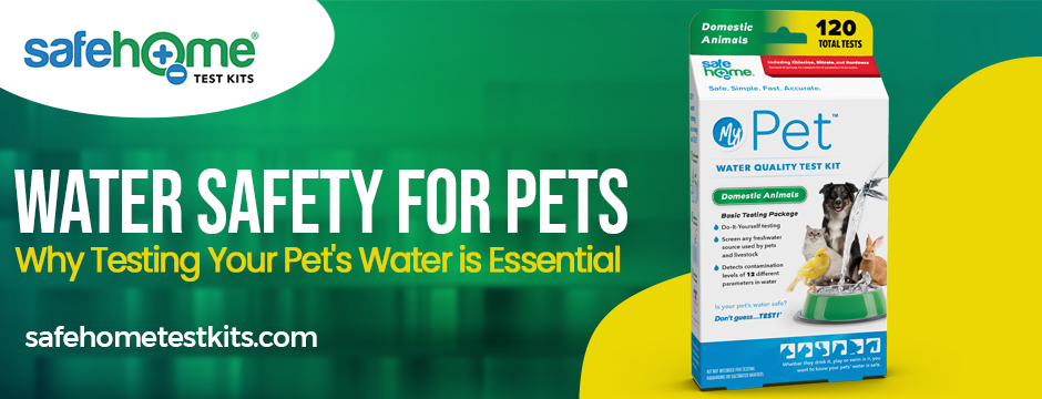Water Safety for Pets