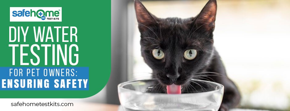 DIY Water Testing for Pet Owners