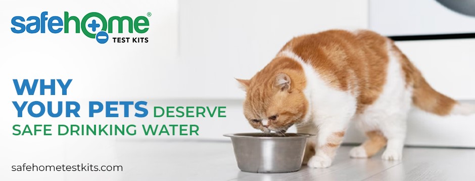 Pets Deserve Safe Drinking Water