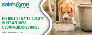 Role of Water Quality in Pet Wellness