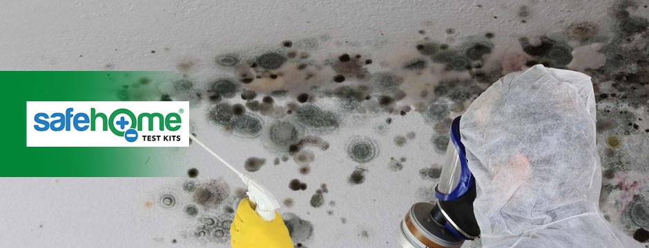 Types of Mold Tests