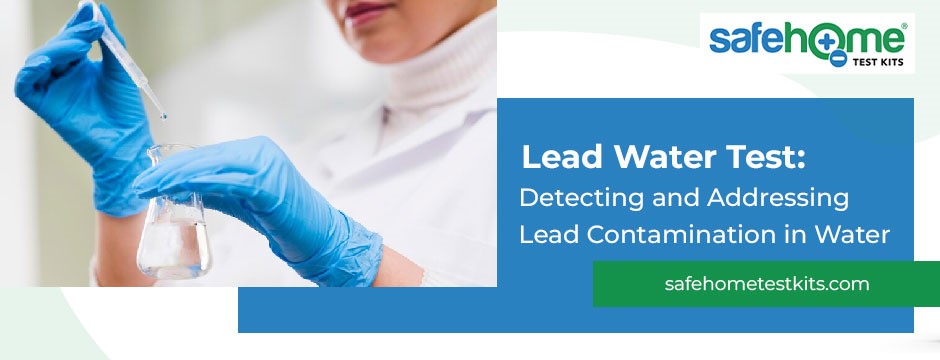 Detecting and Addressing Lead