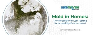 Mold in Homes: The Necessity of Lab Testing for a Healthy Environment