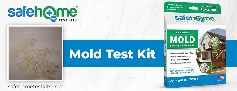 Home Test Kit for Mold